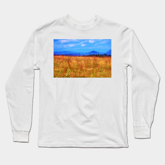 Foothill Flowers Long Sleeve T-Shirt by bgaynor